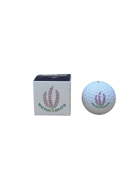 Individual Logo Ball